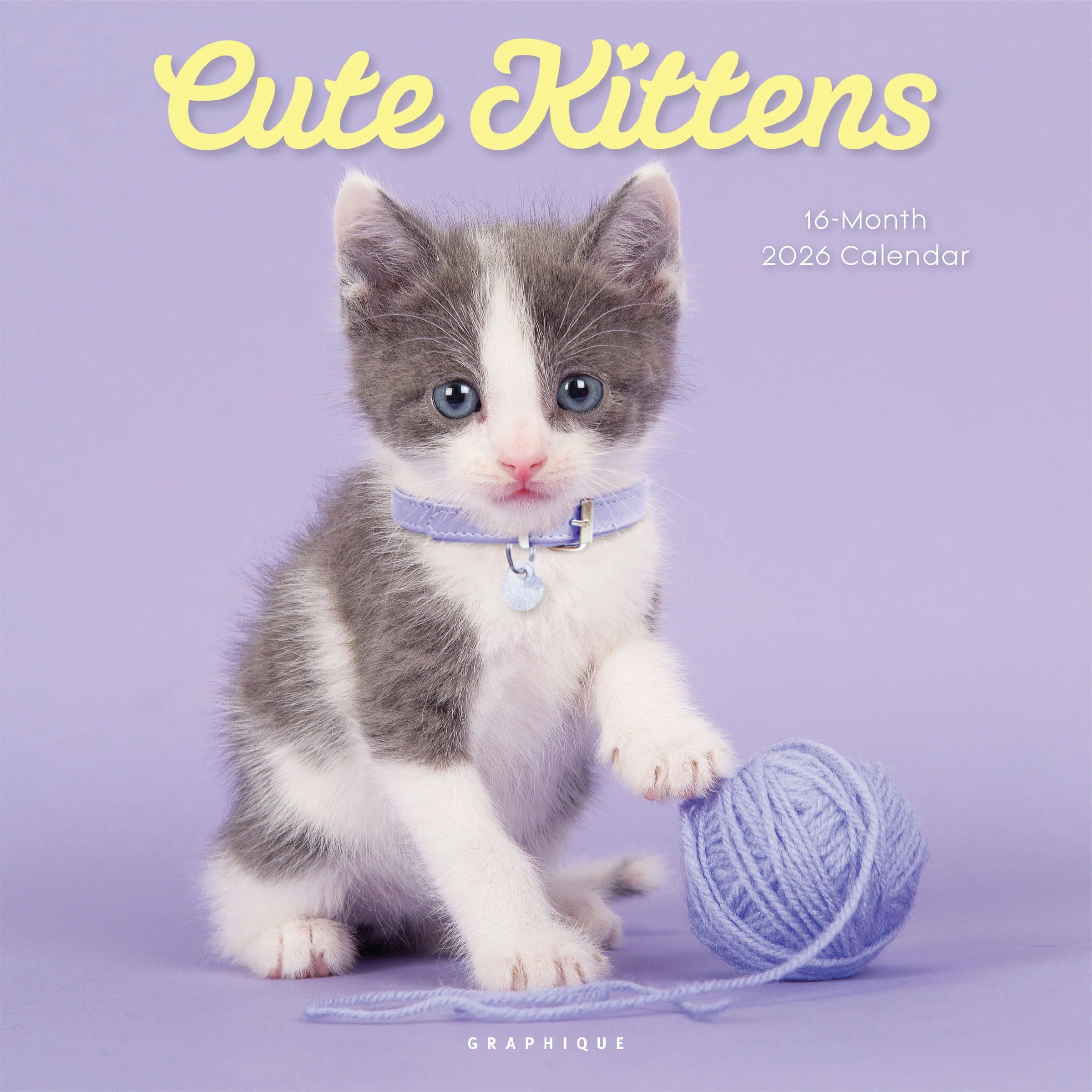Cute Kittens 2026 Wall Calendar