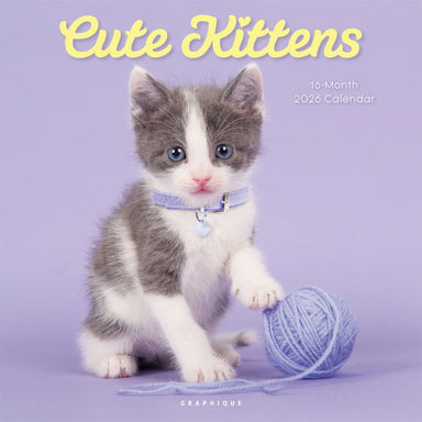 Cute Kittens 2026 Wall Calendar