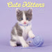 Cute Kittens 2026 Wall Calendar