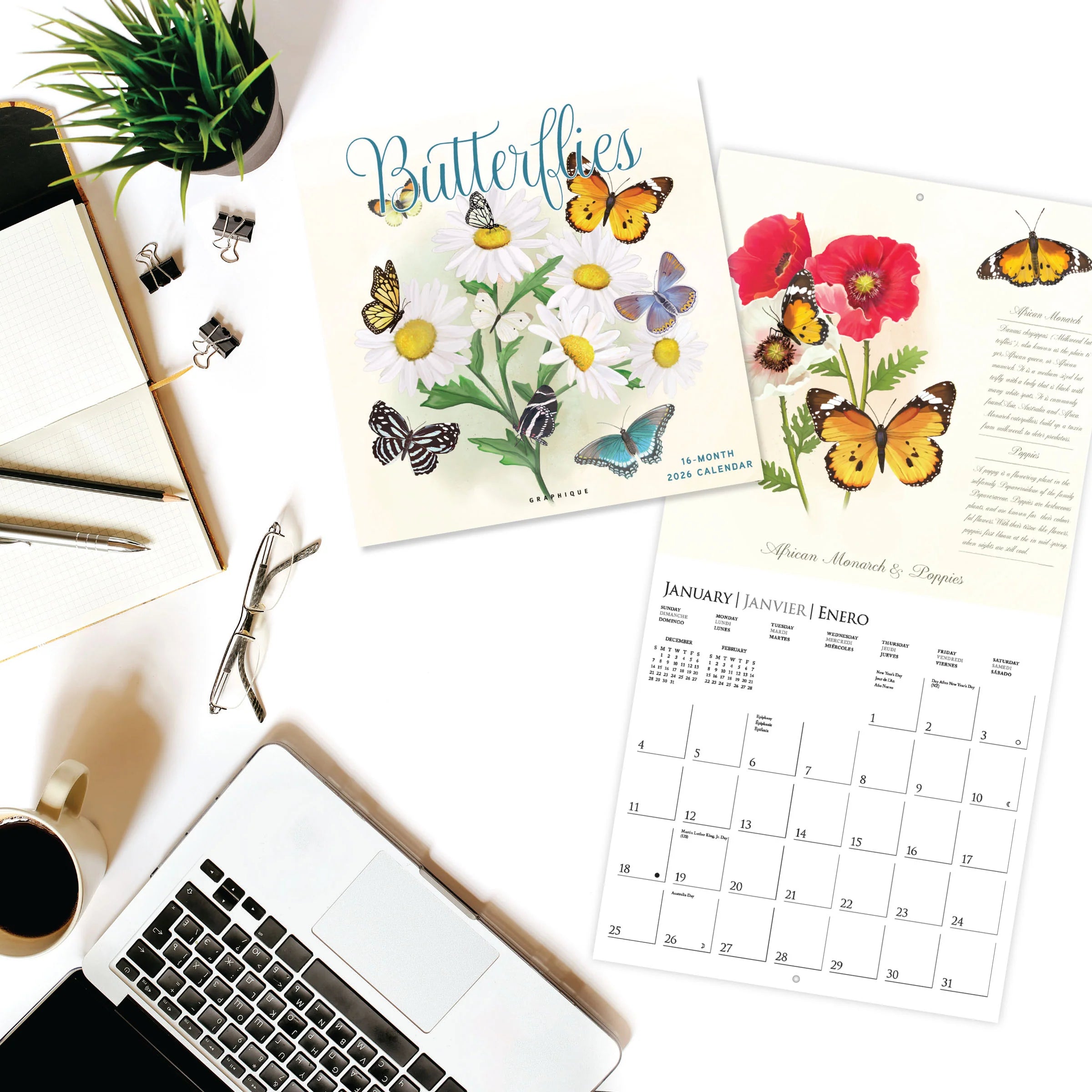 Butterflies 2026 Wall Calendar