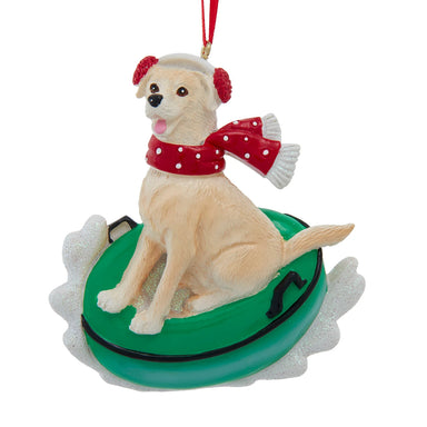 Yellow Labrador On Snow Tube