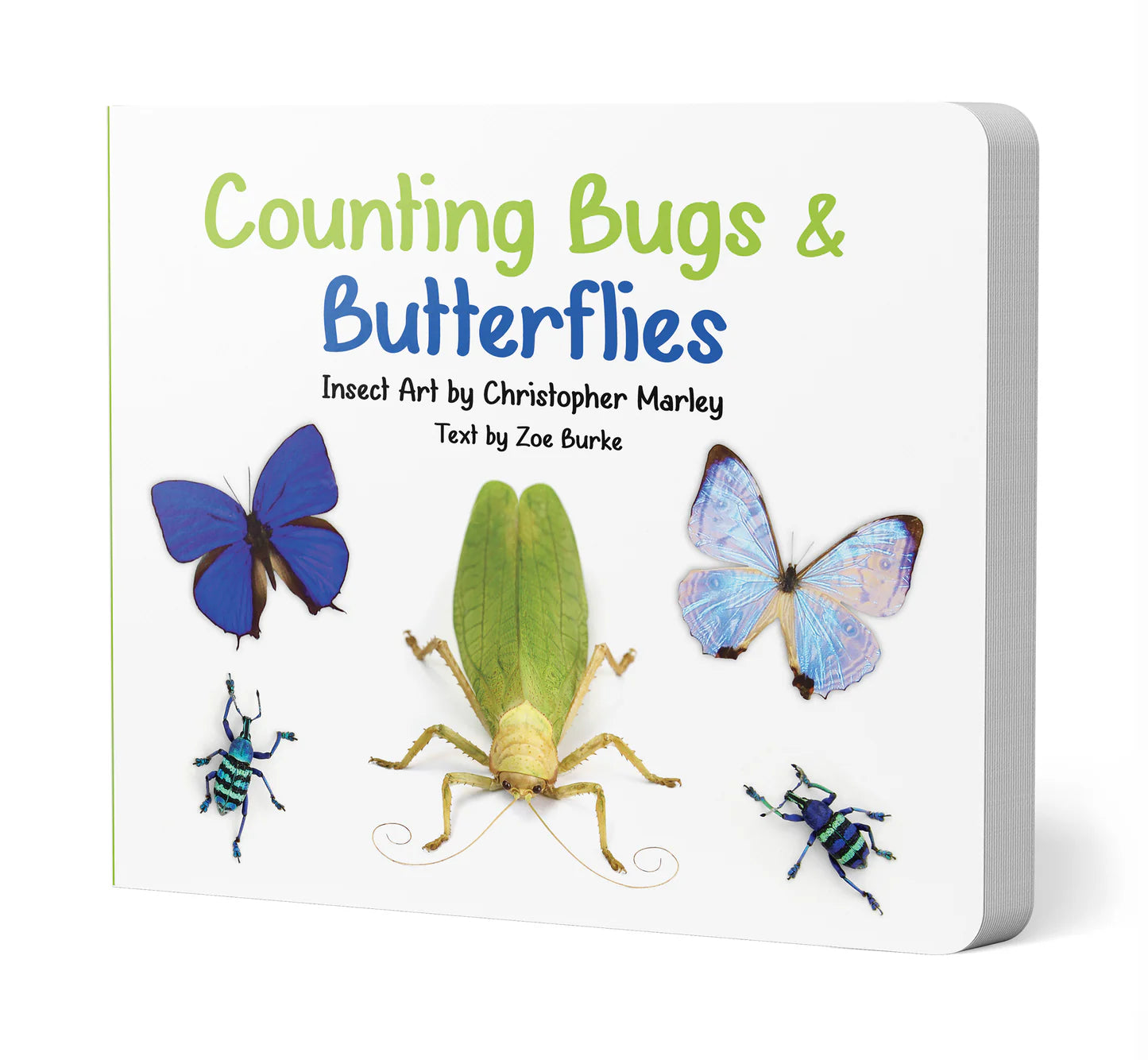 Counting Bugs & Butterflies: Insect Art by Christopher Marley Board Book