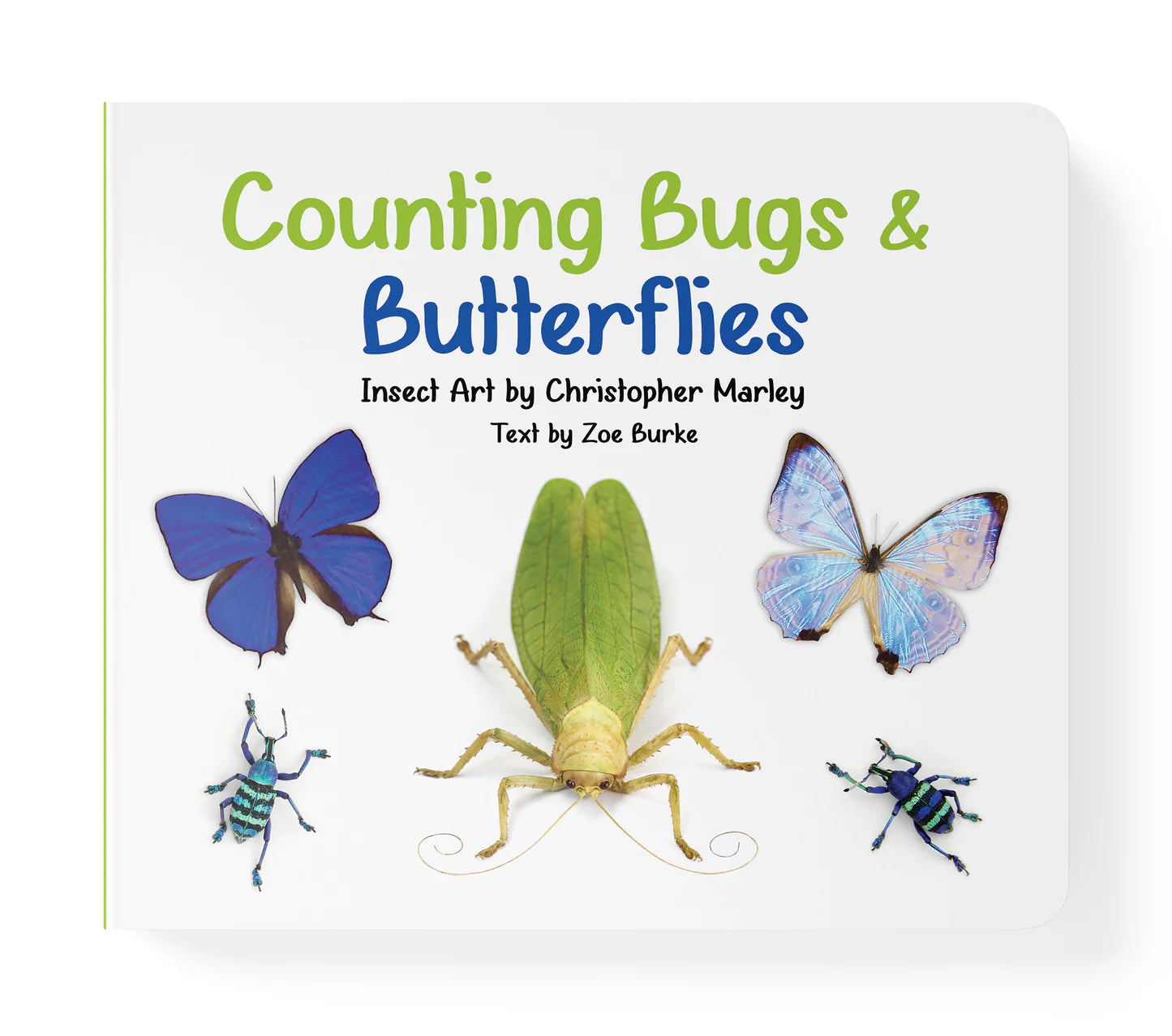 Counting Bugs & Butterflies: Insect Art by Christopher Marley Board Book
