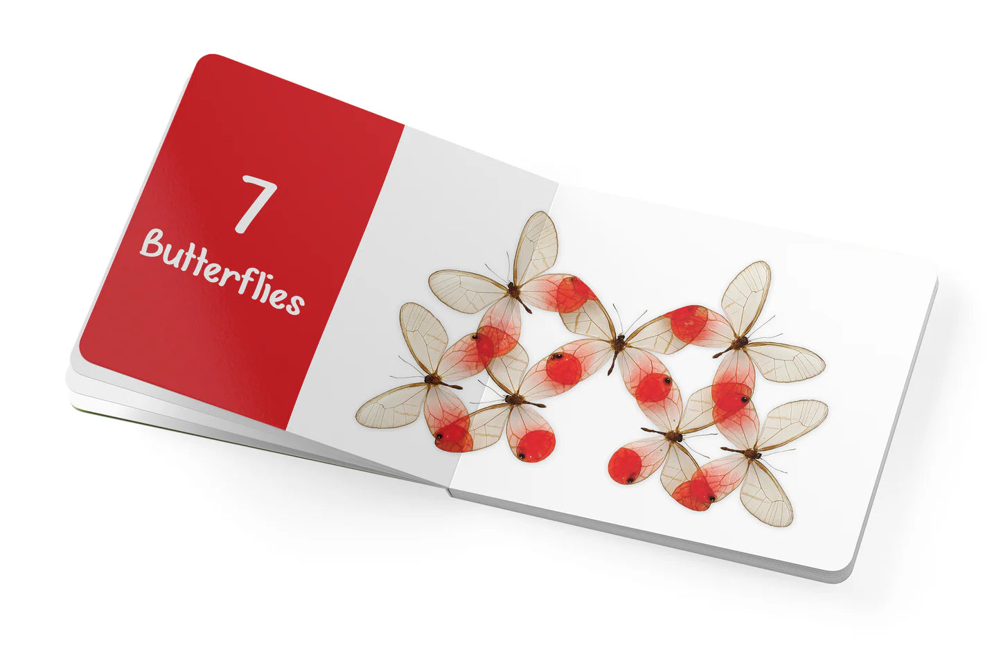 Counting Bugs & Butterflies: Insect Art by Christopher Marley Board Book