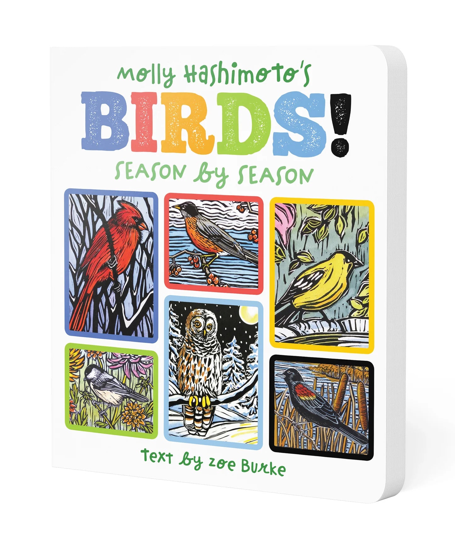 Molly Hashimoto's Birds! Season by Season Board Book