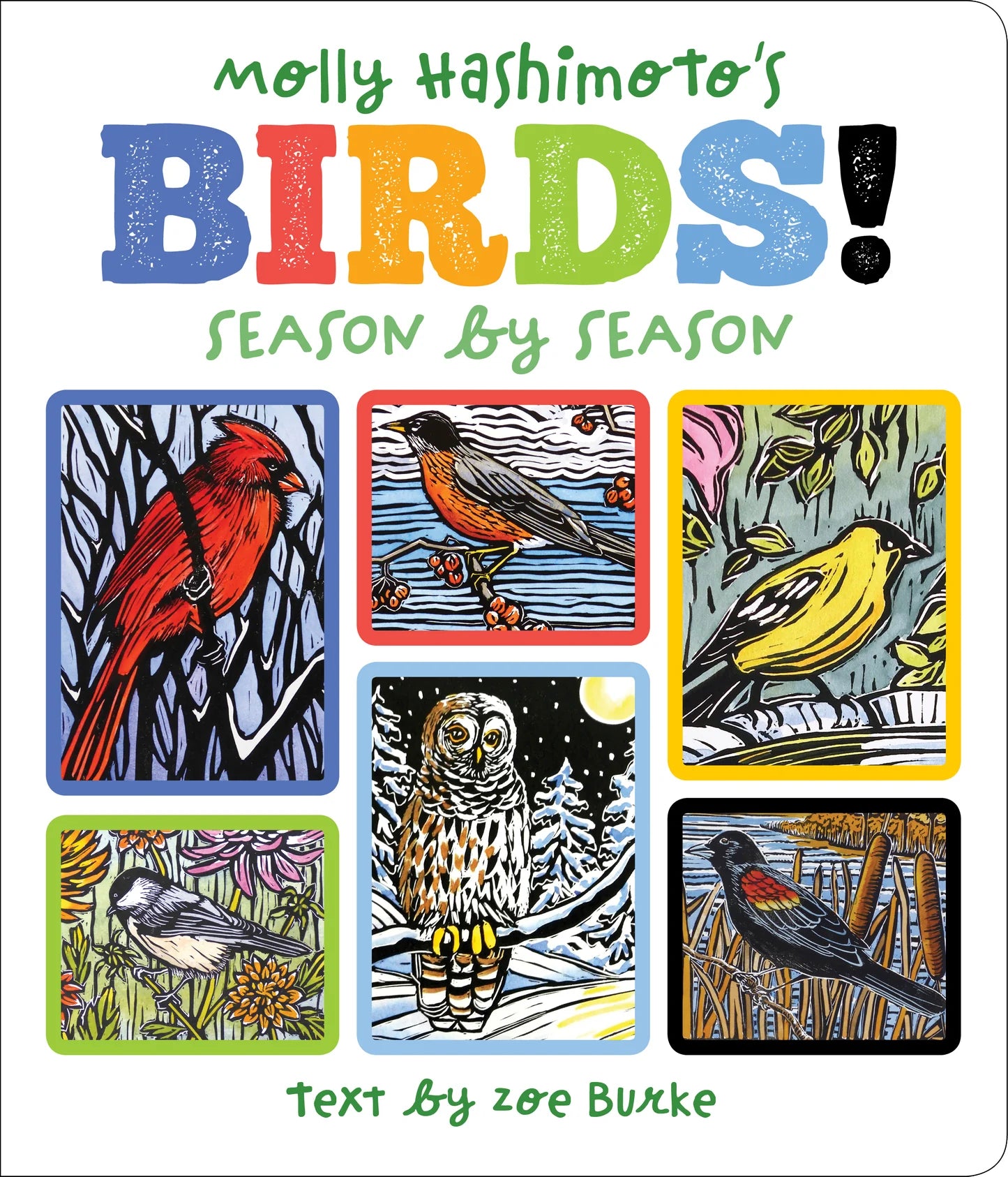 Molly Hashimoto's Birds! Season by Season Board Book