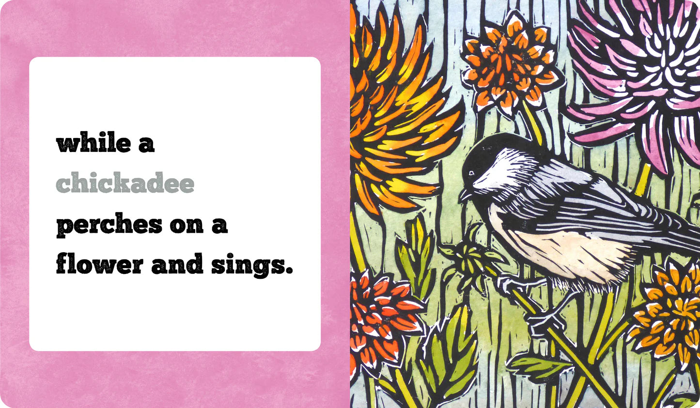 Molly Hashimoto's Birds! Season by Season Board Book