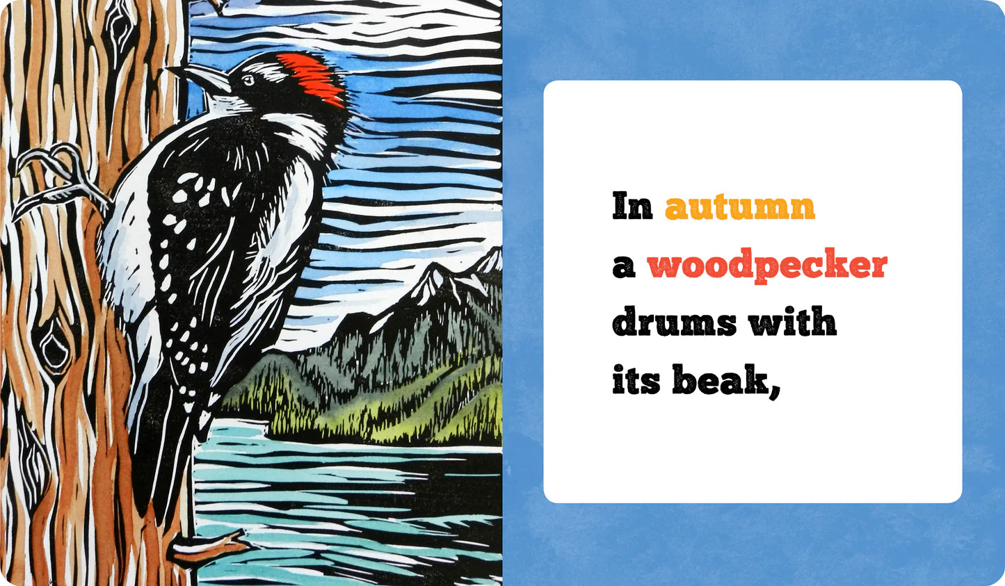 Molly Hashimoto's Birds! Season by Season Board Book