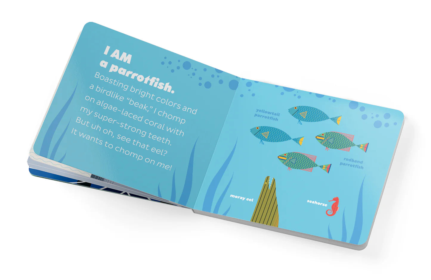 Charley Harper's I Am Wild in The Ocean Board Book