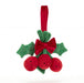Jellycat Amuseable Holly    