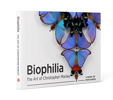 Biophilia: The Art of Christopher Marley Book of Postcards