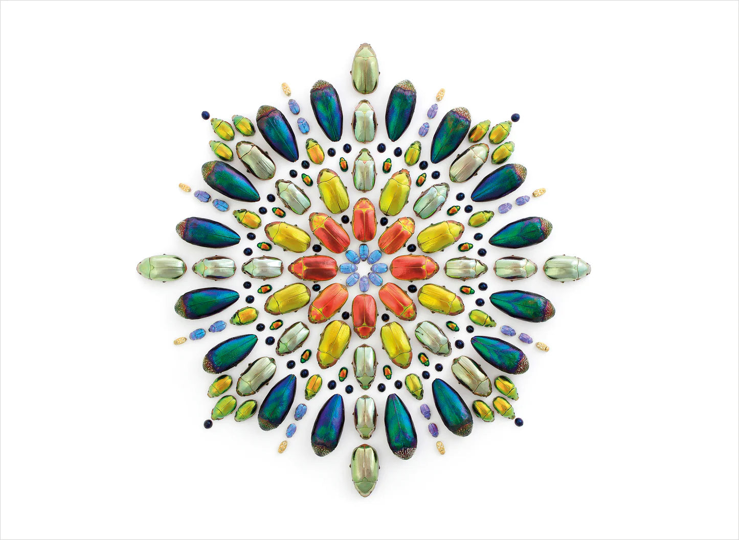 Biophilia: The Art of Christopher Marley Book of Postcards