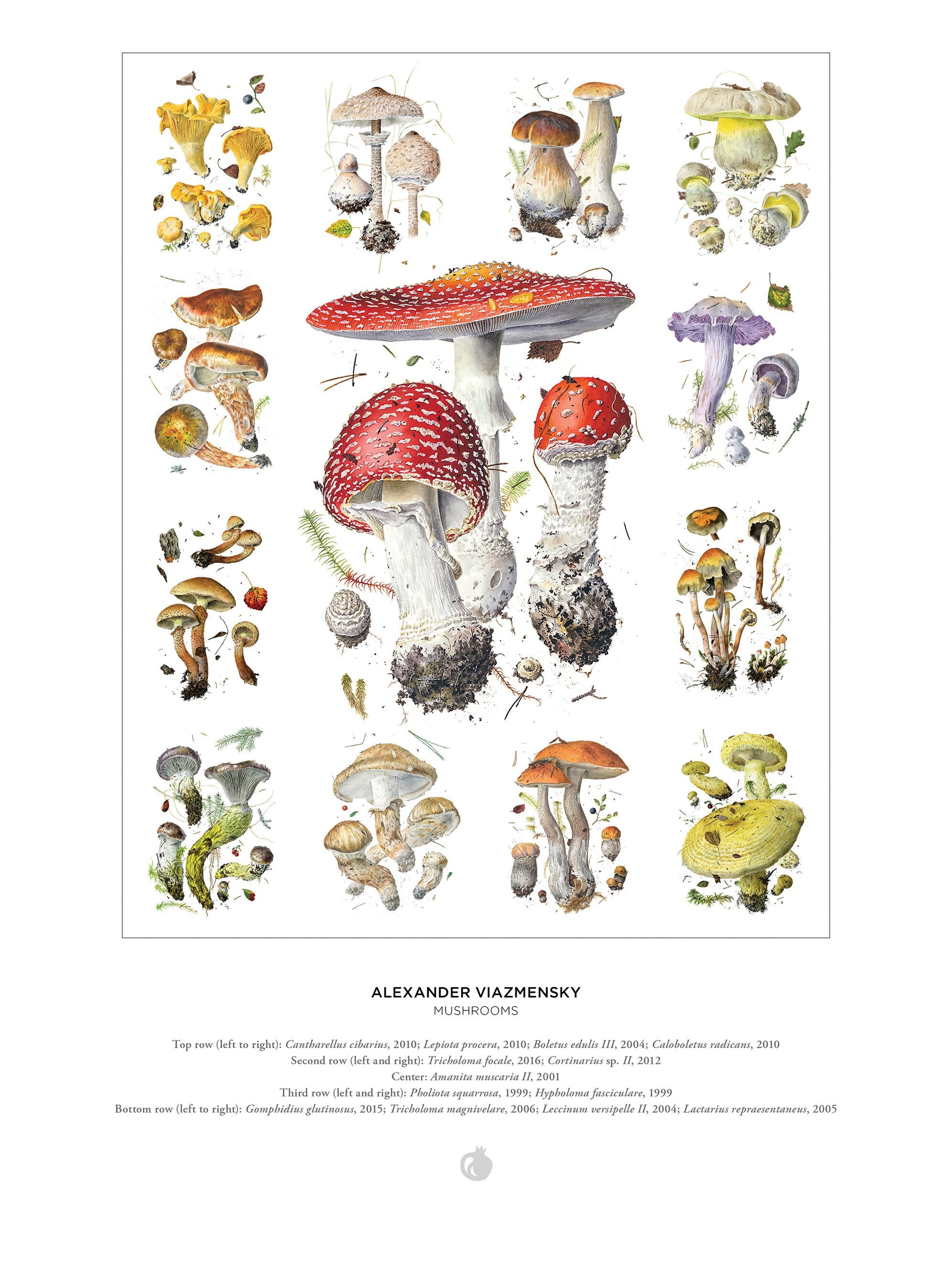 Mushrooms 1000 Piece Alexander Viazmensky Puzzle    