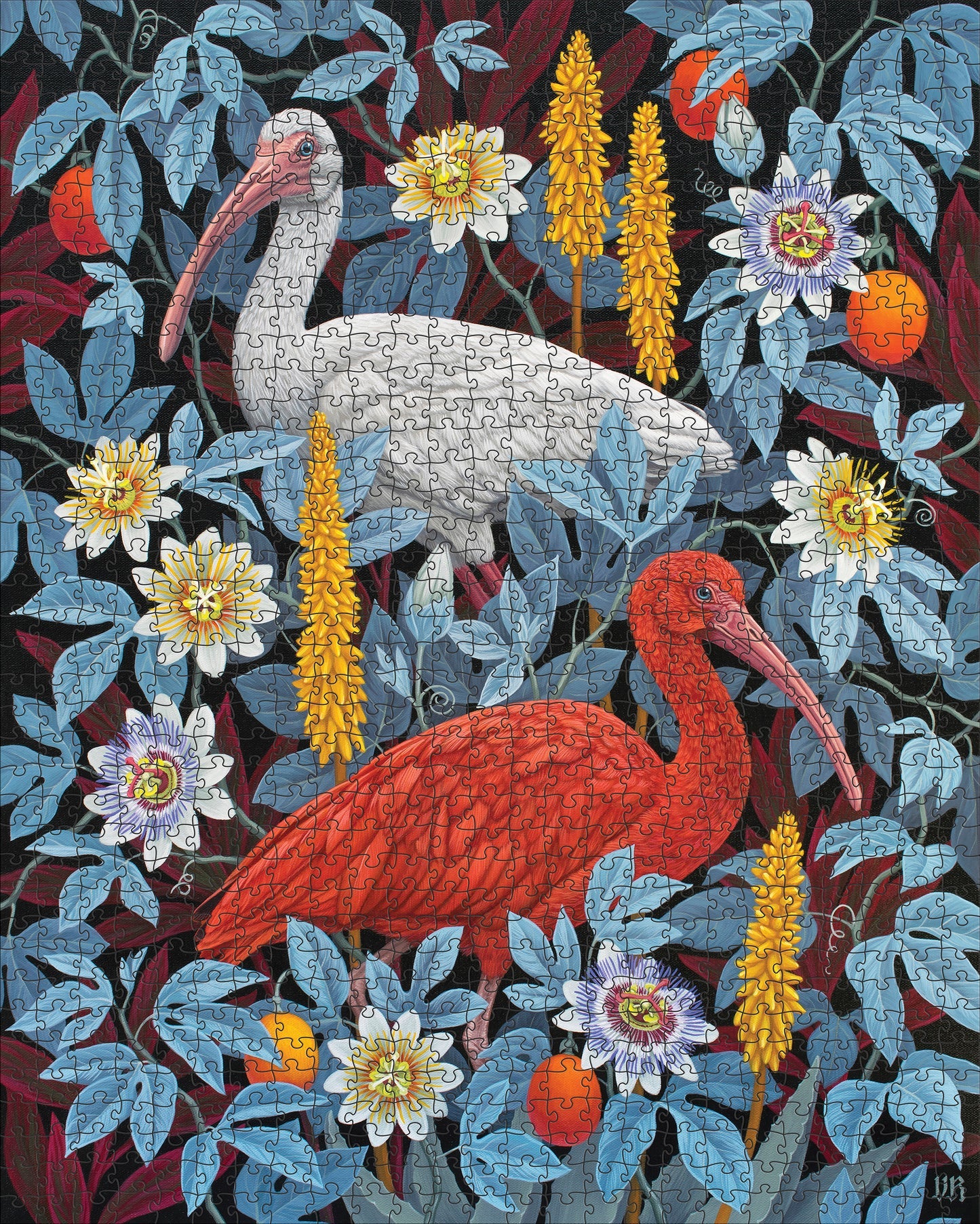 Vasilisa Romanenko: Ibises 1000-Piece Jigsaw Puzzle