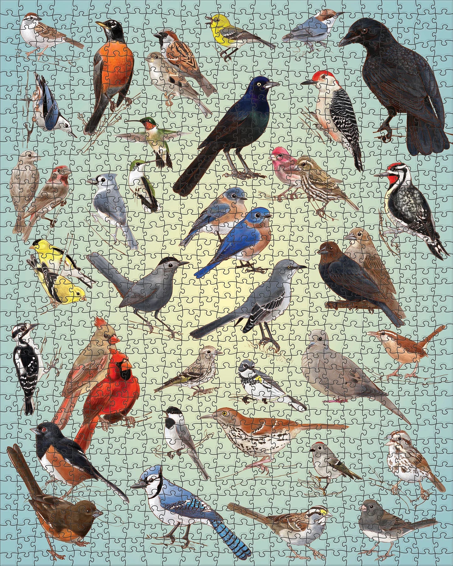 Casey Girard: Backyard Birds 1000-Piece Jigsaw Puzzle