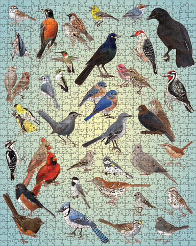 Casey Girard: Backyard Birds 1000-Piece Jigsaw Puzzle
