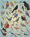 Casey Girard: Backyard Birds 1000-Piece Jigsaw Puzzle