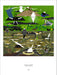 Charley Harper The Everglades 1000 Piece Puzzle
