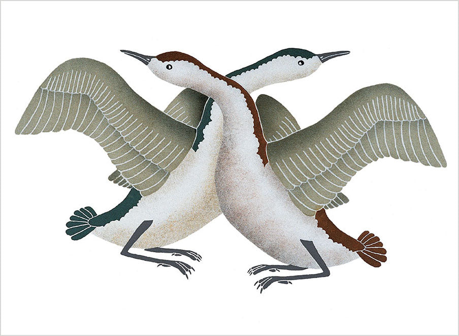 Inuit Art Birds Kinngait - Book of Postcards    