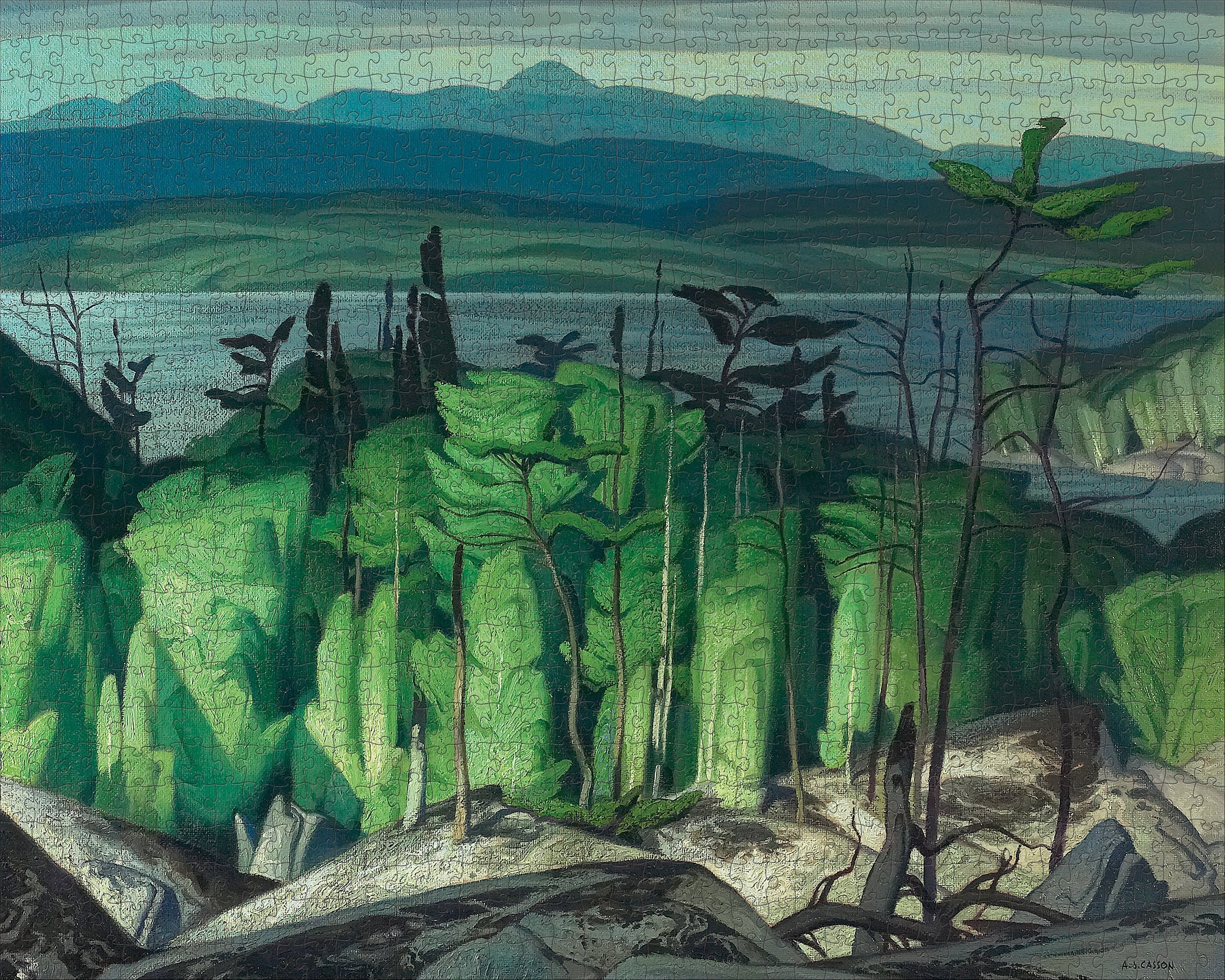 Jack Pine and Poplar 1000 Piece A.J. Casson Puzzle    