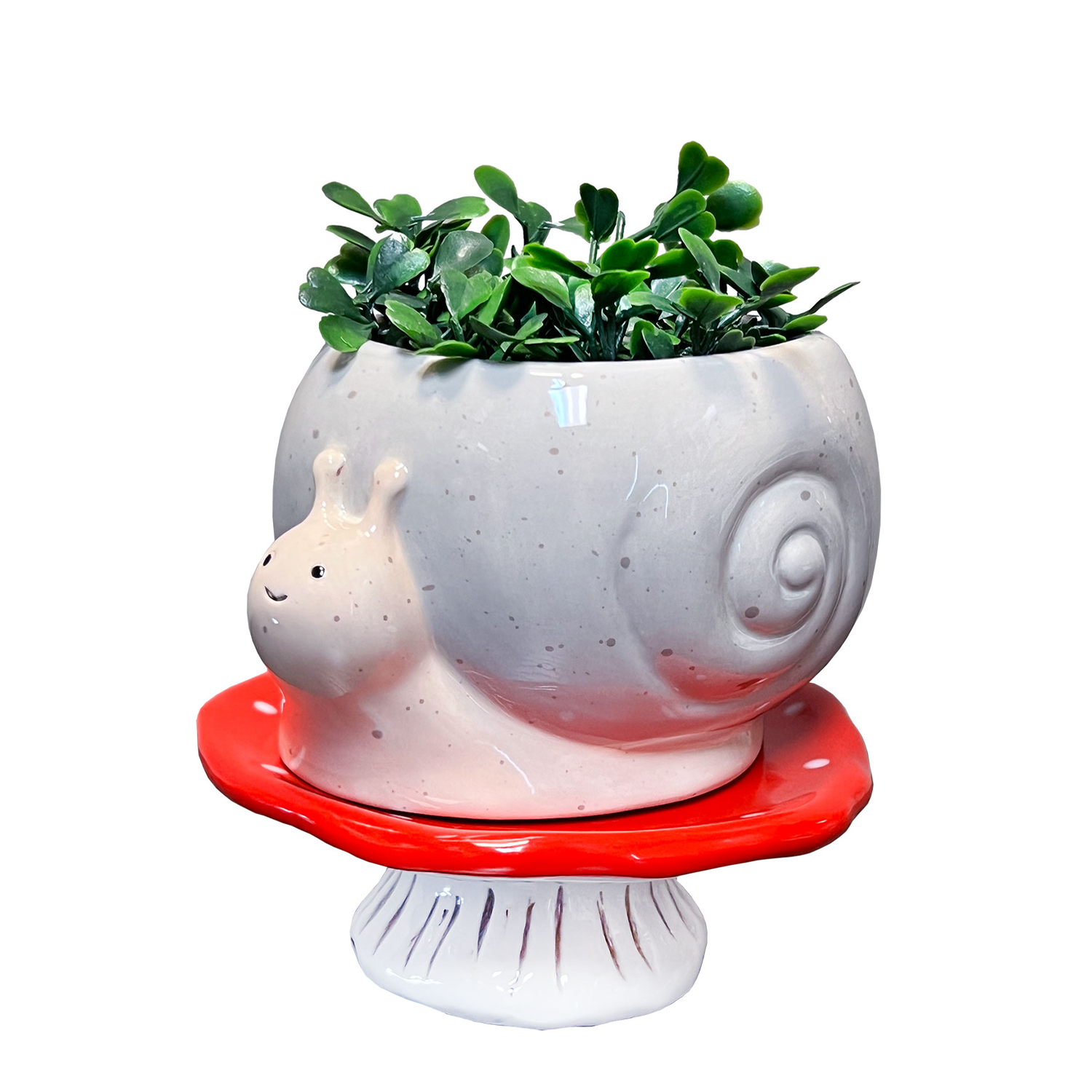 STRM Snail and Mushroom Planter