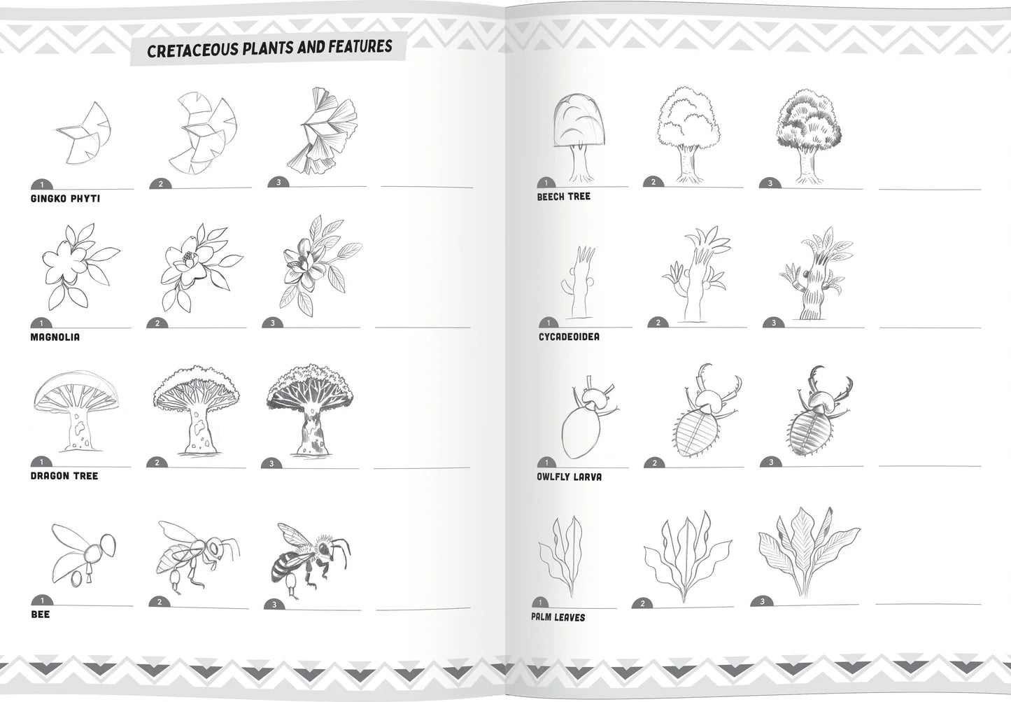 eeBoo Learn To Draw Dinosaurs