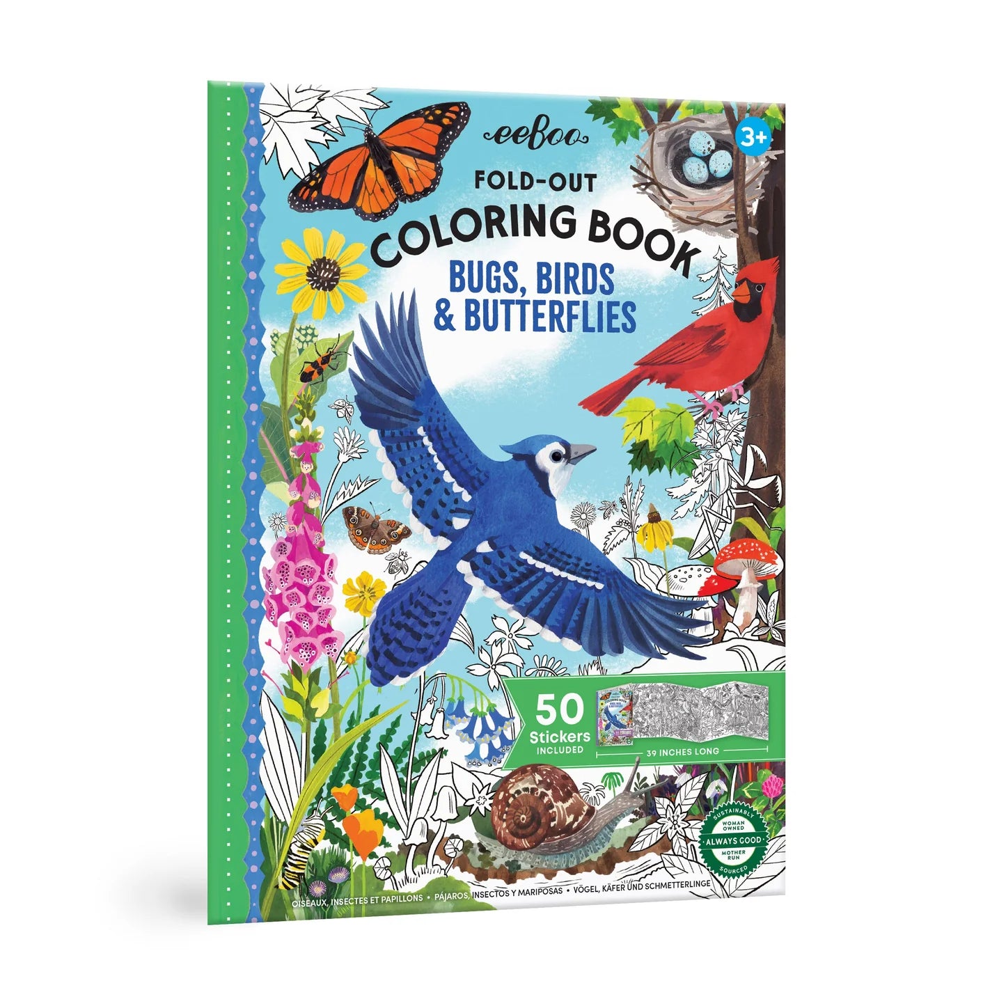 Bugs, Birds, & Butterflies Fold Out Coloring Book