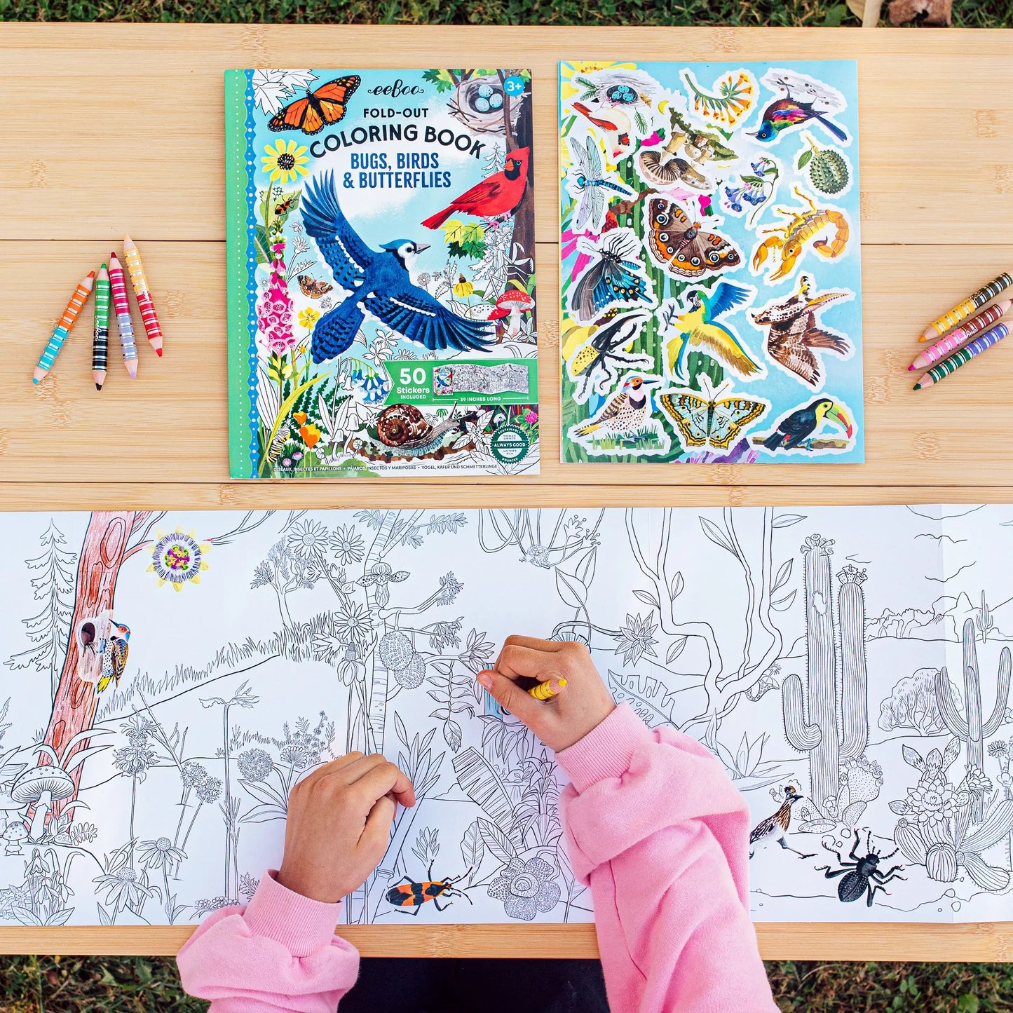 Bugs, Birds, & Butterflies Fold Out Coloring Book