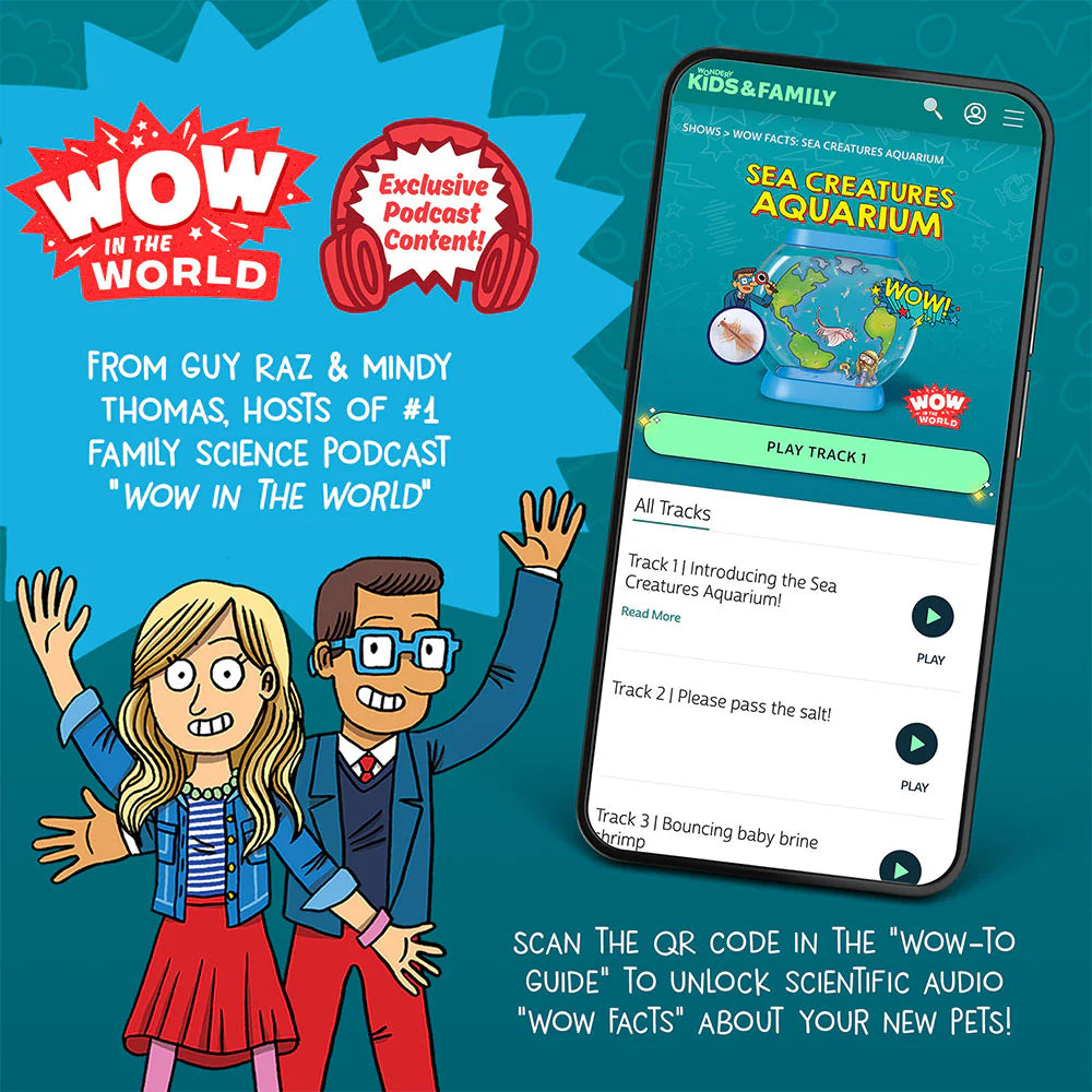 Sea Creatures Aquarium