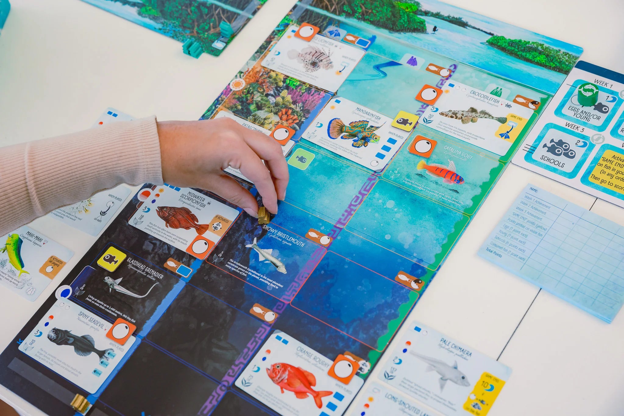 Stonemaier Games Finspan