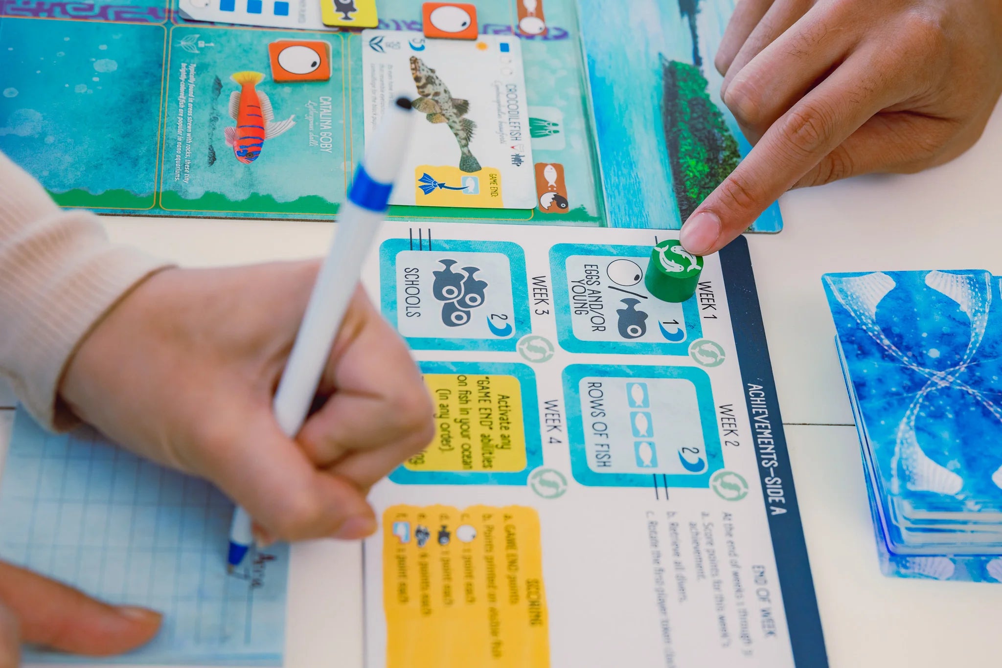 Stonemaier Games Finspan