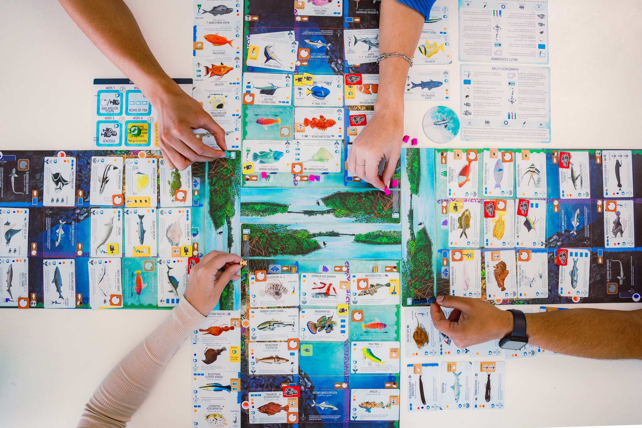 Stonemaier Games Finspan