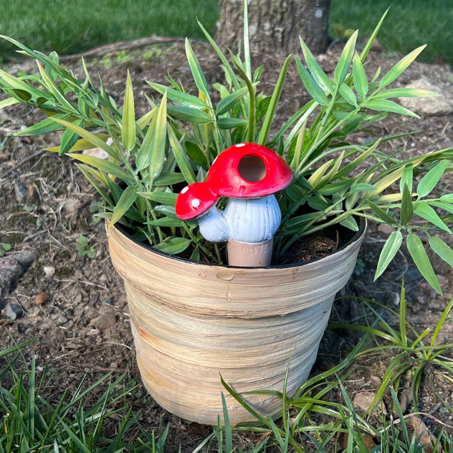 STRM Mushroom Watering Spikes (Single) - Random Color