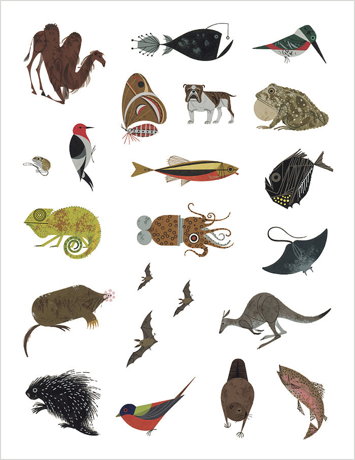 Charley Harper Tree of Life Sticker Book