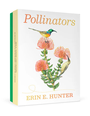 Pollinators Boxed Assorted Note Cards    