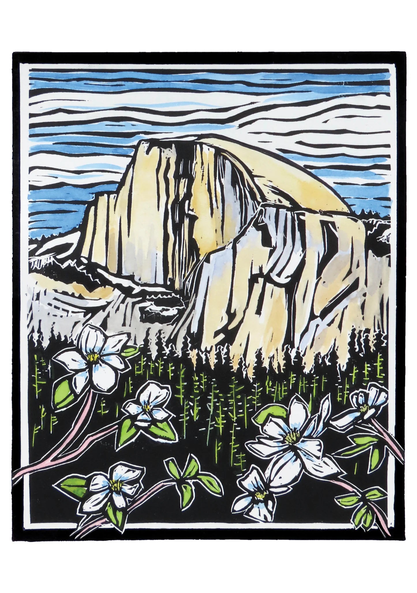 Molly Hashimoto Wildflowers Boxed Assorted Note Cards