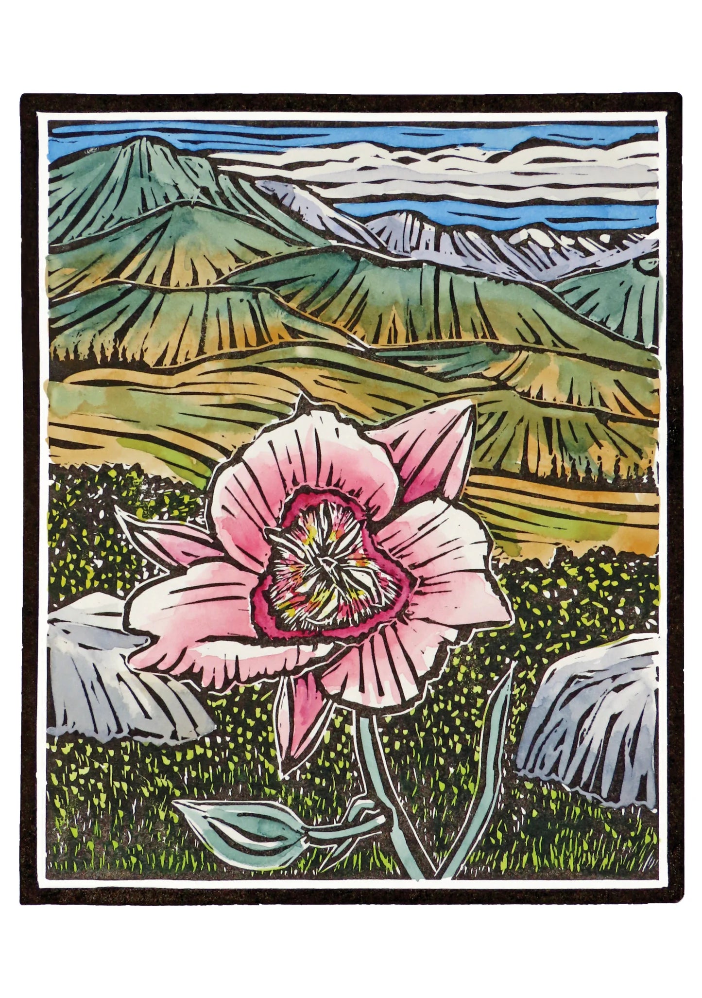 Molly Hashimoto Wildflowers Boxed Assorted Note Cards