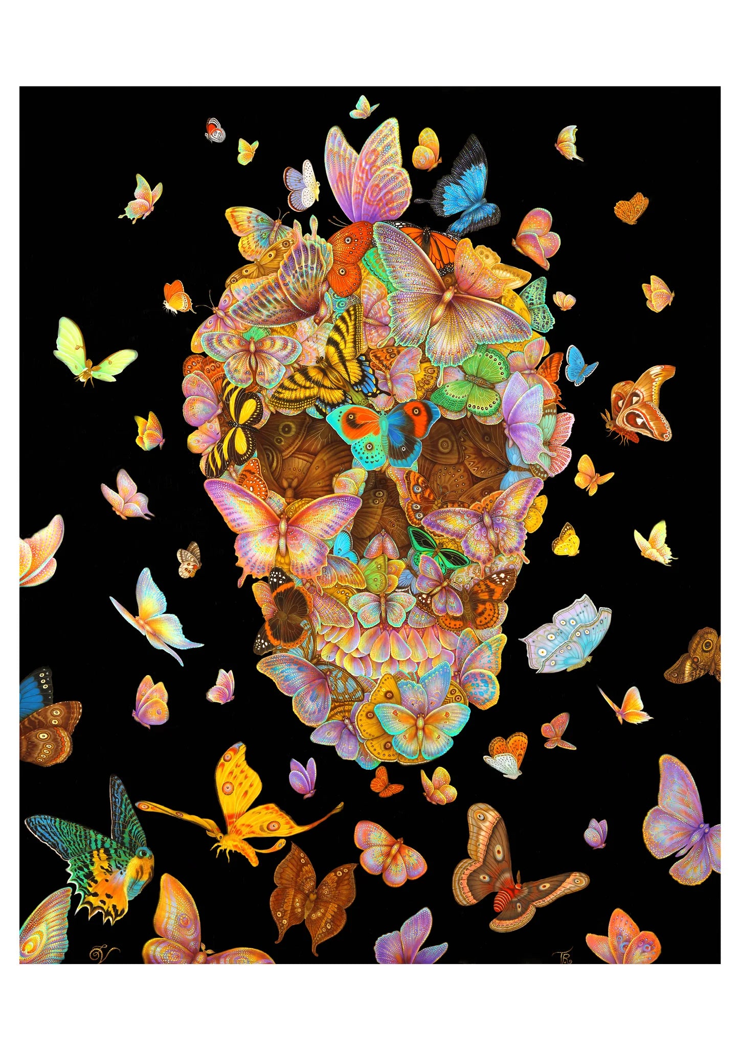 POM Day of the Dead: Tino Rodriguez & Virgo Paraiso Boxed Notecard Assortment