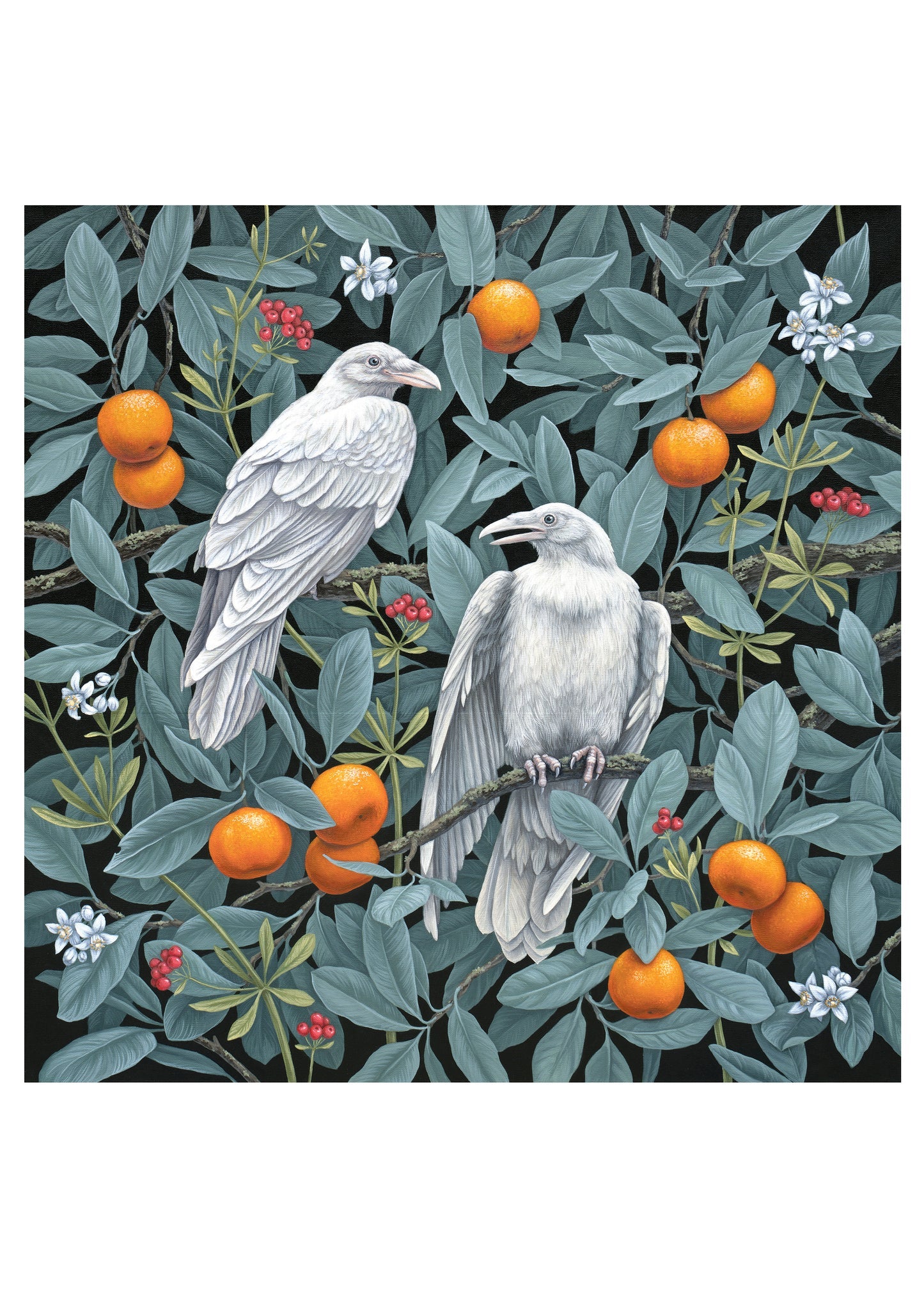 Vasilisa Romanenko: Birds of A Feather Boxed Assorted Note Cards