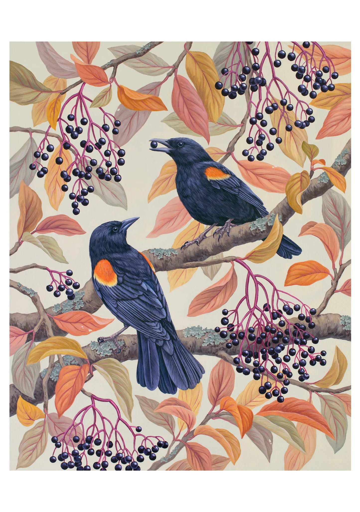 Vasilisa Romanenko: Birds of A Feather Boxed Assorted Note Cards