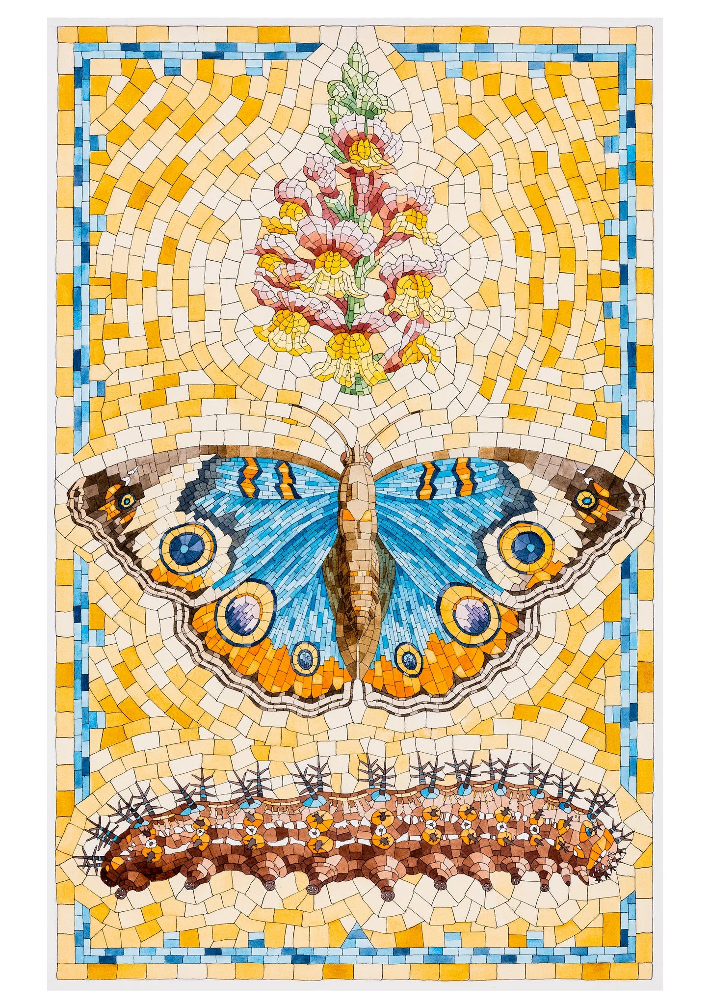 David Cohen Butterflies Boxed Assorted Note Cards