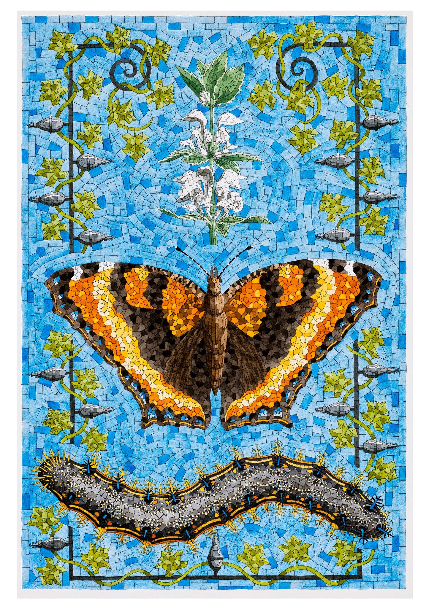 David Cohen Butterflies Boxed Assorted Note Cards