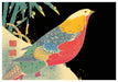 POM Itō Jakuchū Boxed Notecard Assortment