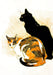 POM Black Cats Boxed Notecard Assortment