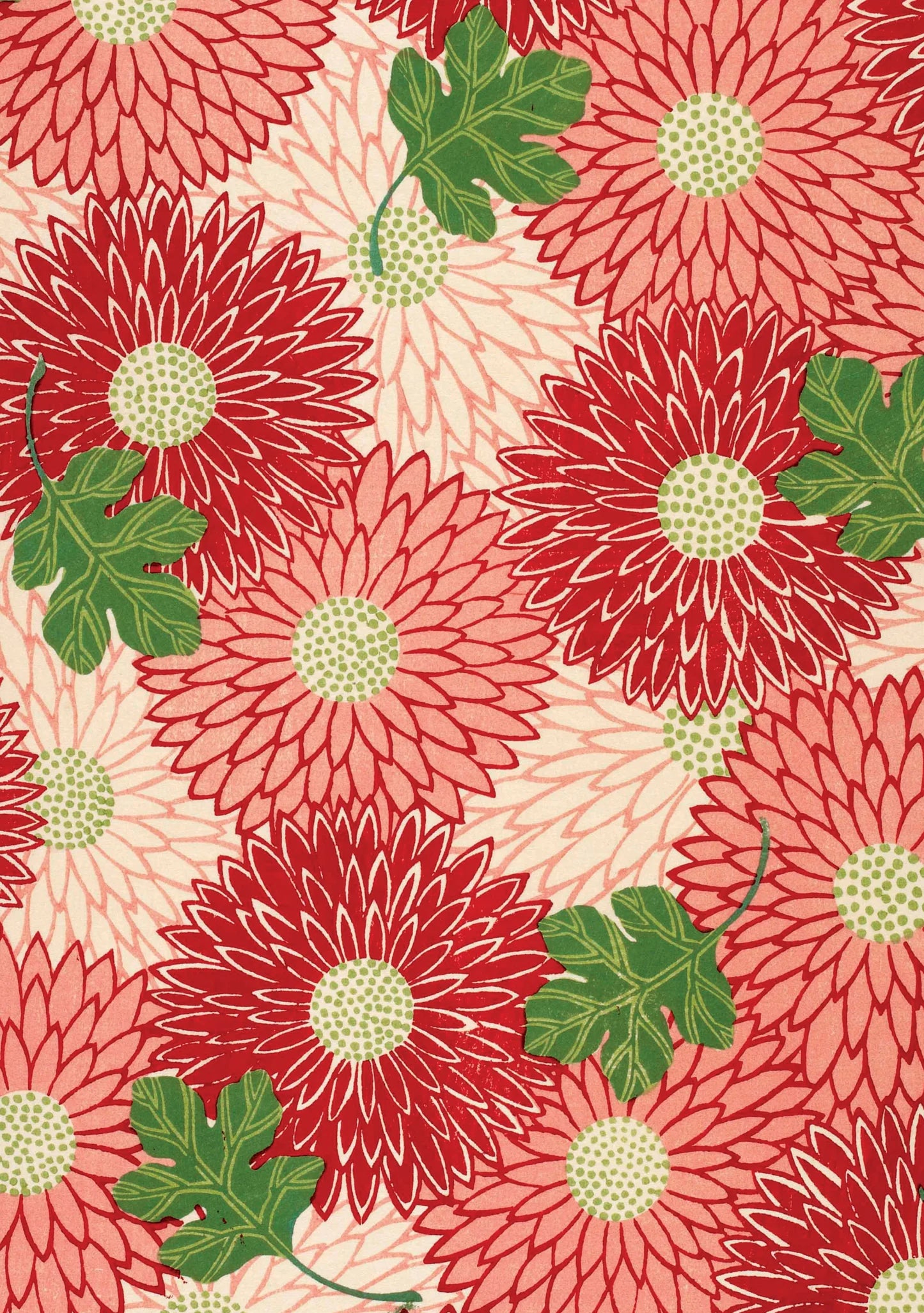 POM Chrysanthemums Holiday Cards