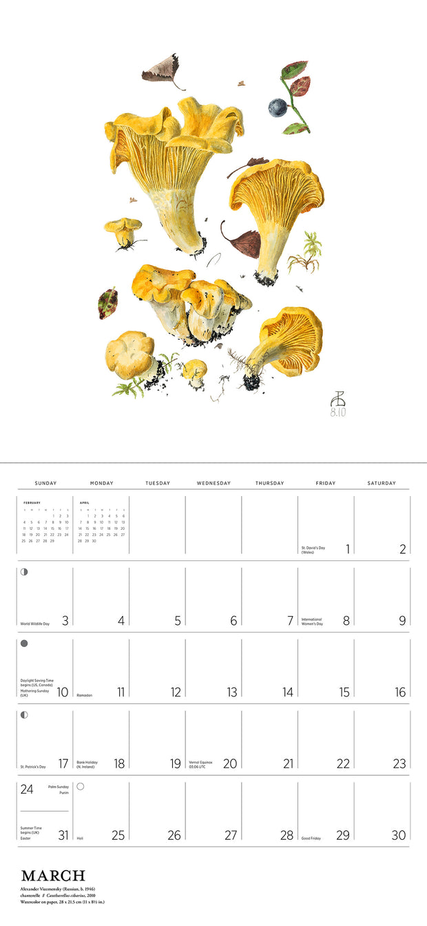 Mushrooms by Alexander Viazmensky 2024 Wall Calendar    