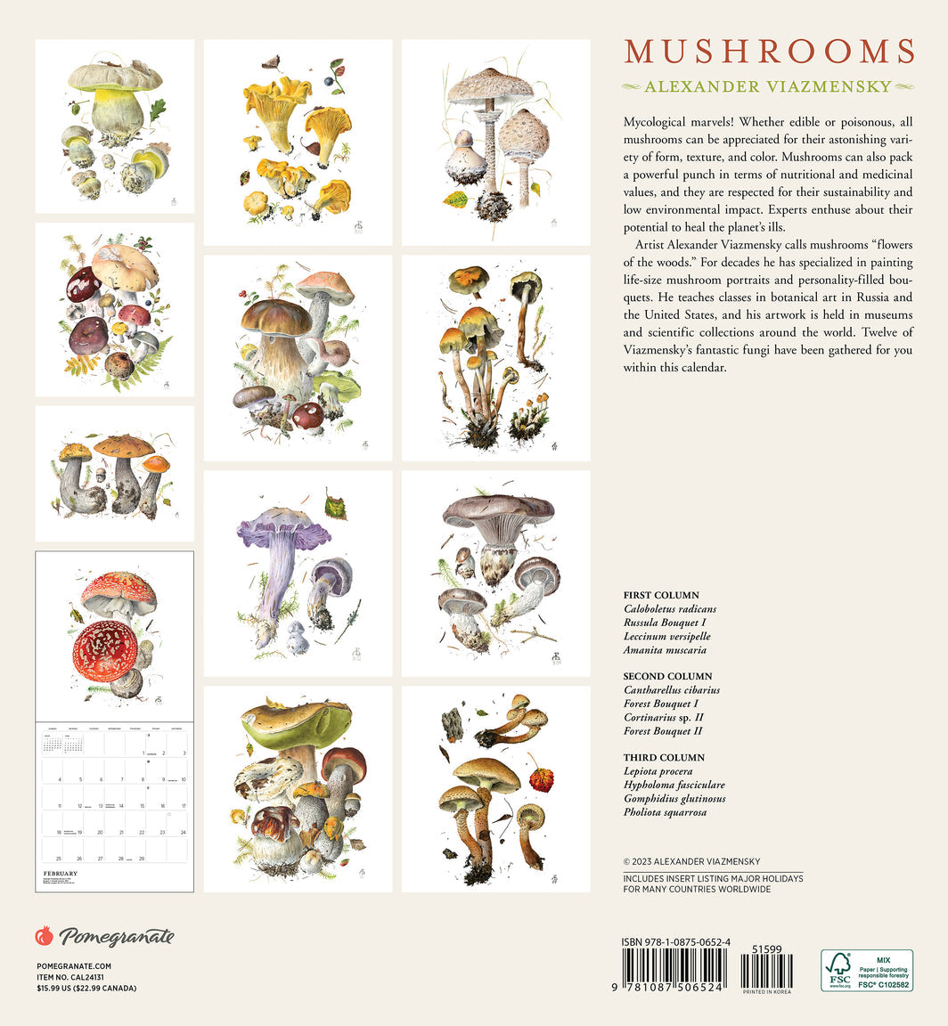Mushrooms by Alexander Viazmensky 2024 Wall Calendar    