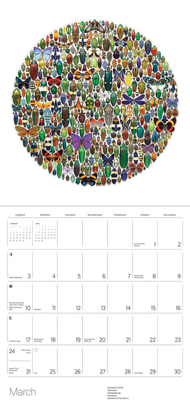 Exzuisite Creatures The Art of Christopher Marley 2024 Wall Calendar    