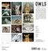 Owls by Geannine Chappell 2024 Wall Calendar    