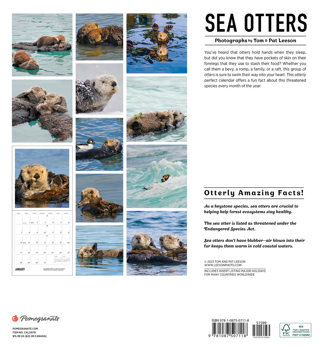 Sea Otters Photographs by Tom & Pat Leeson 2024 Wall Calendar    